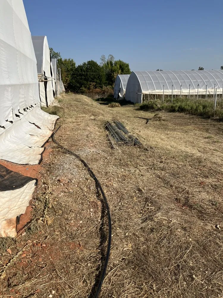 Affordable garden landscaping in Sahuarita, AZ - Takeover Landscaping