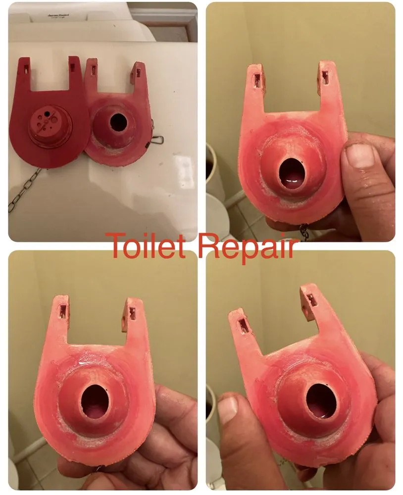 Affordable landscape installation in Dumfries, VA by Taking Care of Business