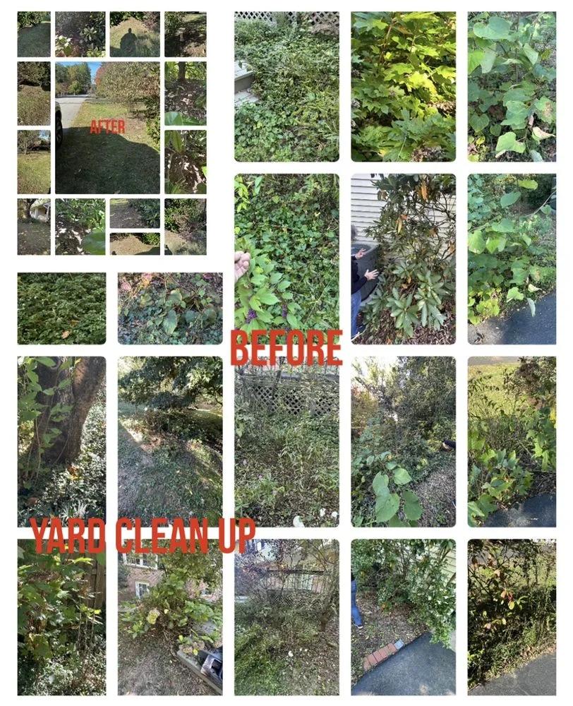 Trusted yard cleanup service experts serving Dumfries, VA - Taking Care of Business