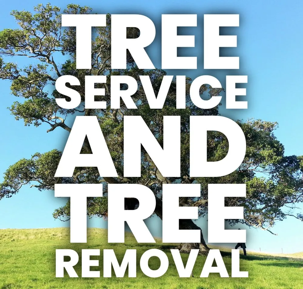 Trusted residential landscaping for year-round maintenance across Dumfries, VA - Taking Care of Business