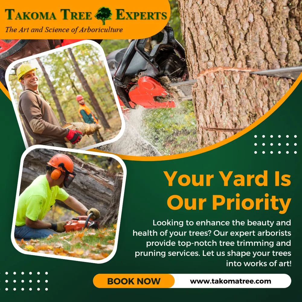 Top-rated lawn mowing service for homes across Hyattsville, MD - Takoma Tree Experts