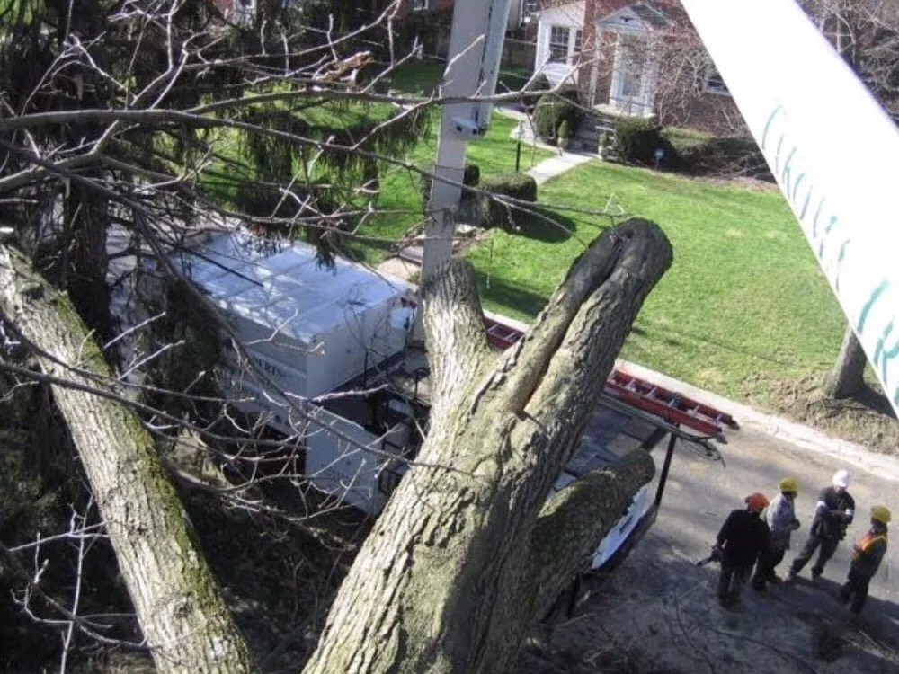 Expert landscape design for outdoor upgrades across Hyattsville, MD - Takoma Tree Experts