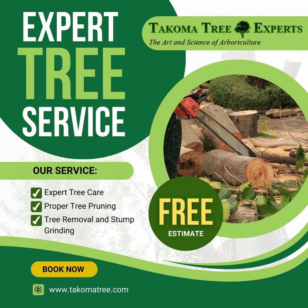 Custom lawn care service for homes across Hyattsville, MD - Takoma Tree Experts