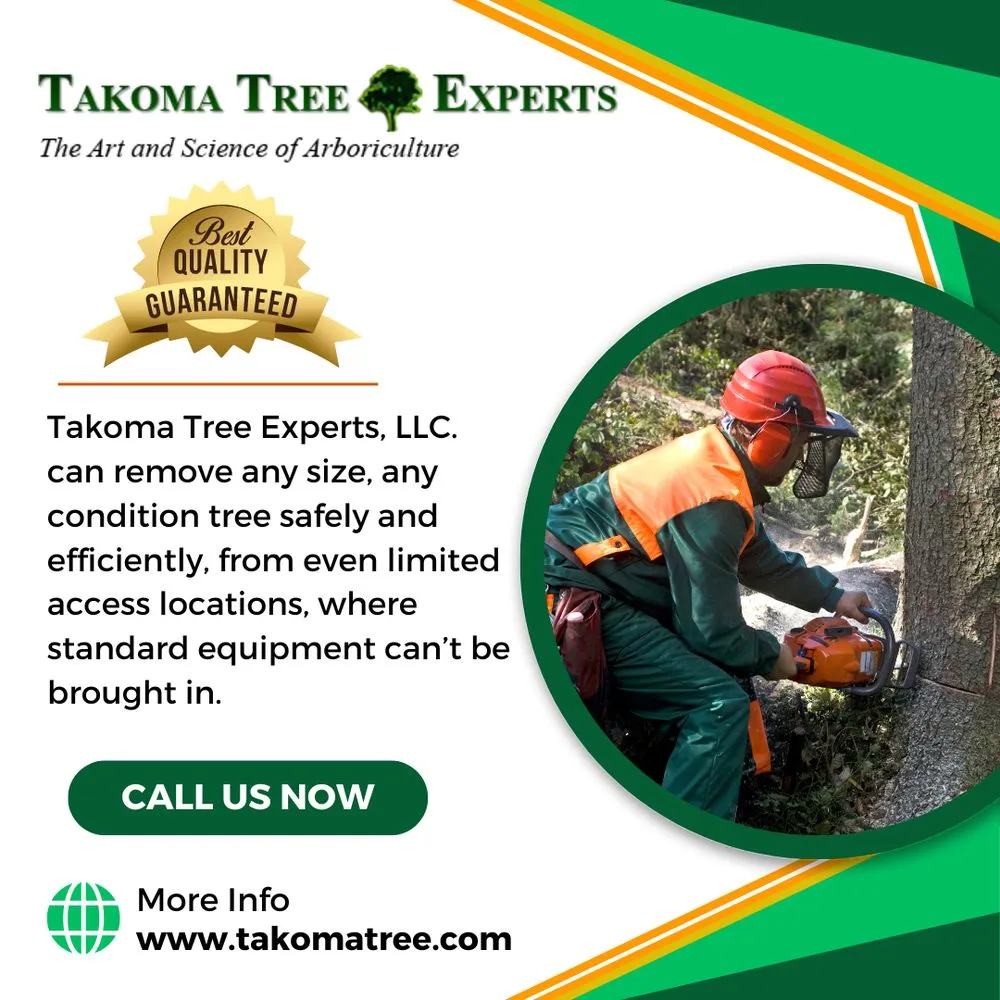 Local lawn mowing service in Hyattsville, MD - Takoma Tree Experts