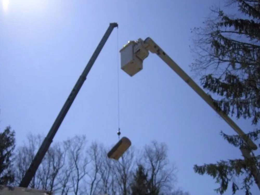 Custom landscape design for residential properties across Hyattsville, MD - Takoma Tree Experts