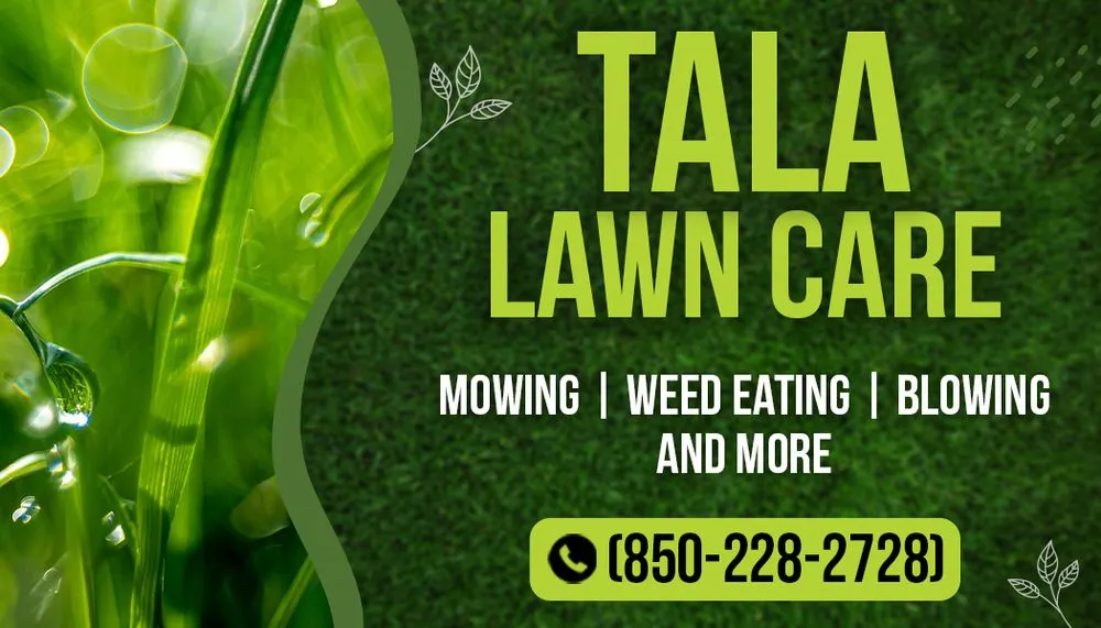Trusted residential landscaping near you in Tallahassee, FL by Tala Lawn Care