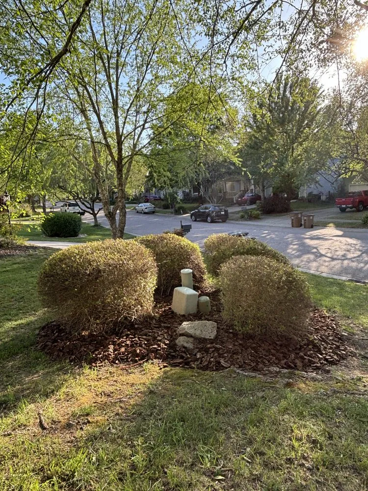 Professional lawn care service in Wake Forest, NC - Talan's Lawn Care