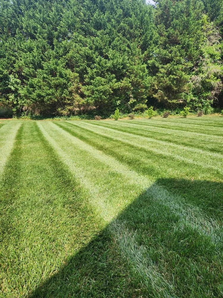 Trusted landscaping services near you across Statesville, NC - Talbert Landscaping