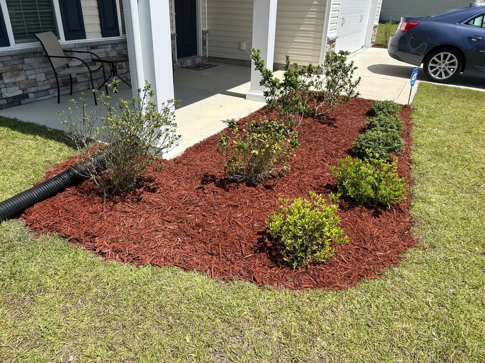 Affordable landscape design for year-round maintenance across Jacksonville, NC - Talbots Lawn Care