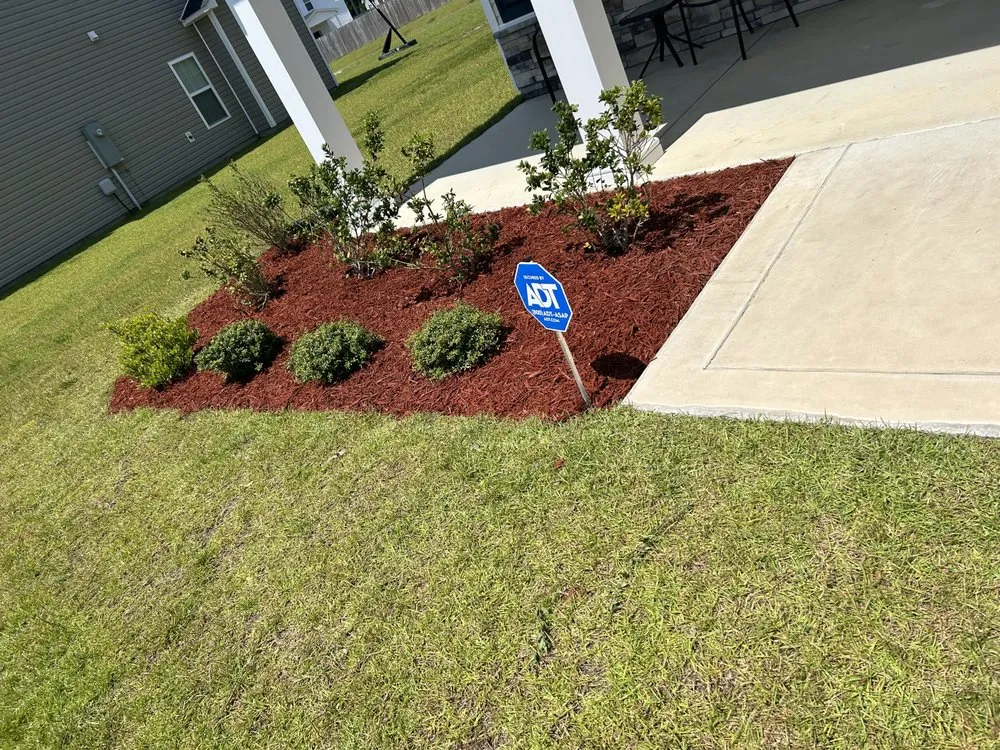 Affordable lawn care service in Jacksonville, NC by Talbots Lawn Care