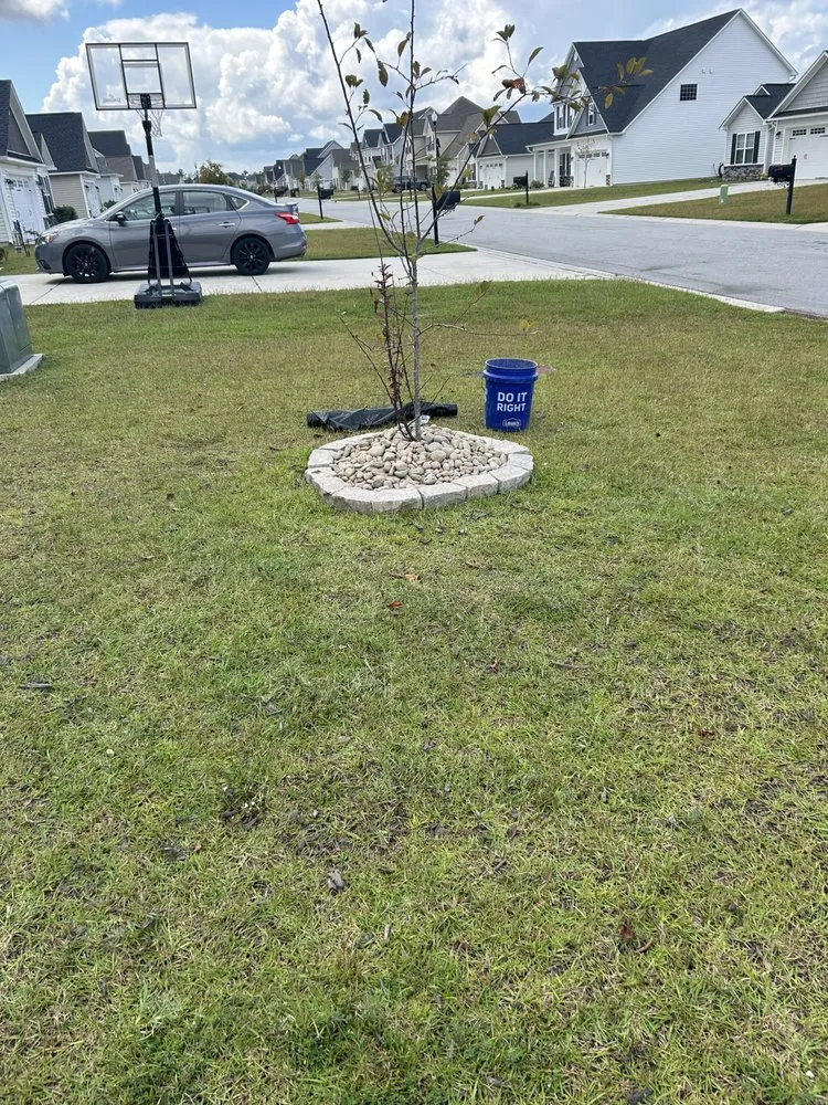 Local landscape design in Jacksonville, NC - Talbots Lawn Care