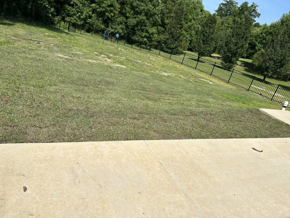 Trusted landscape design in Jacksonville, NC by Talbots Lawn Care