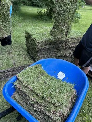 Talbots Lawn Care Logo