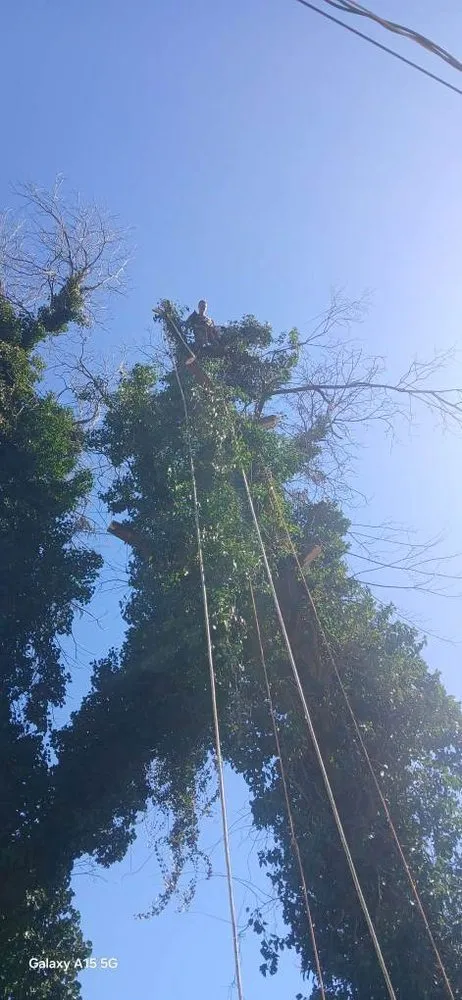 Top-rated garden landscaping in Richmond, VA - Talbotts Tree Landscape and More