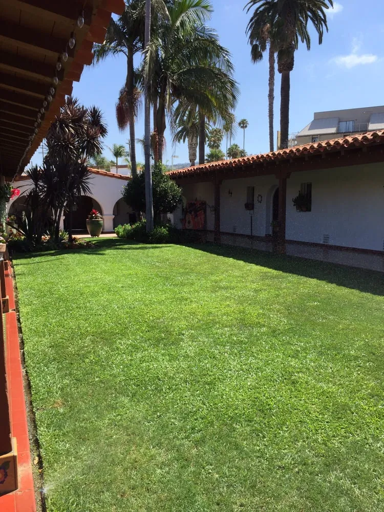 Expert yard cleanup service in San Clemente, CA by Talega Lawn Care