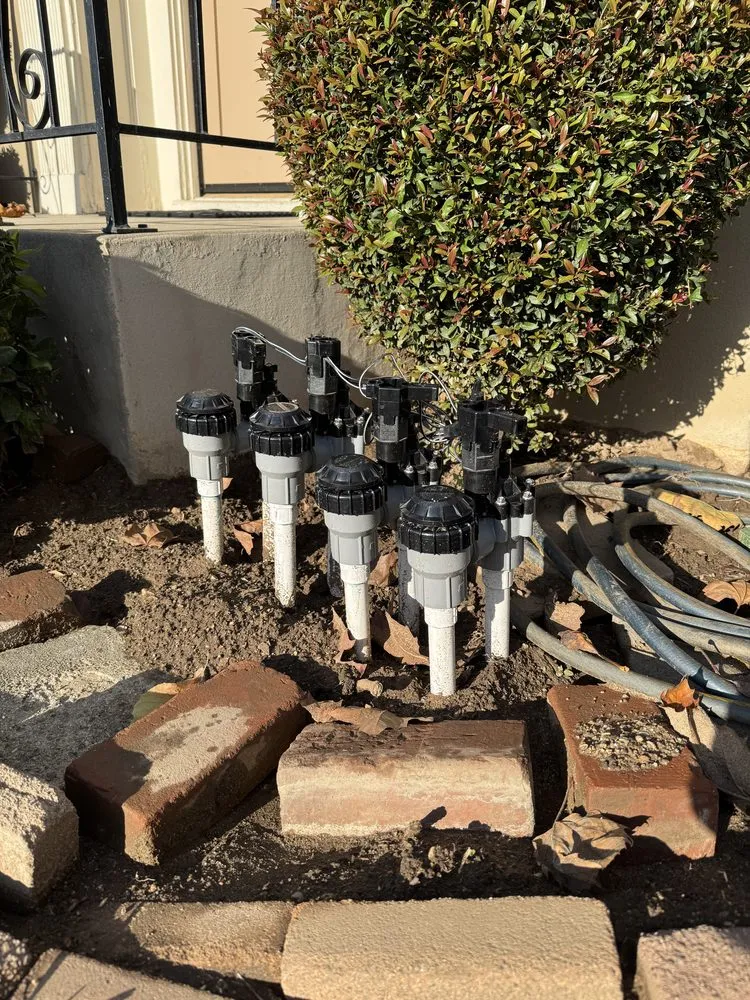 Professional lawn mowing service near you in Temple City, CA by Talgarden