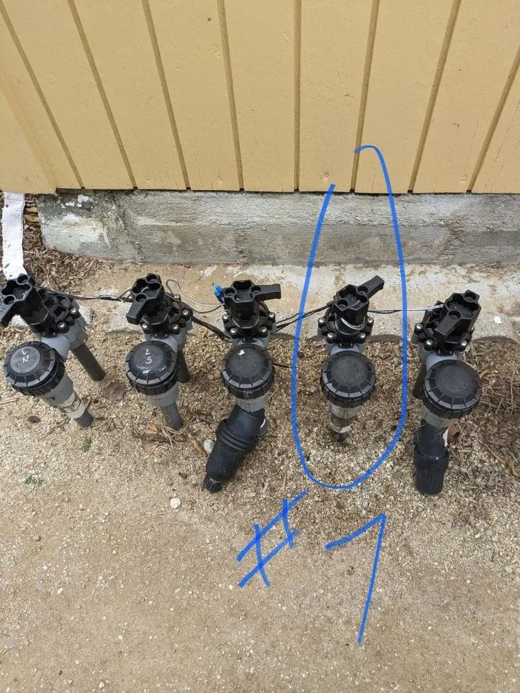 Local landscape design for year-round maintenance in Temple City, CA by Talgarden