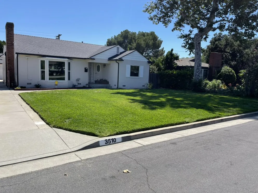 Professional yard cleanup service in Temple City, CA by Talgarden