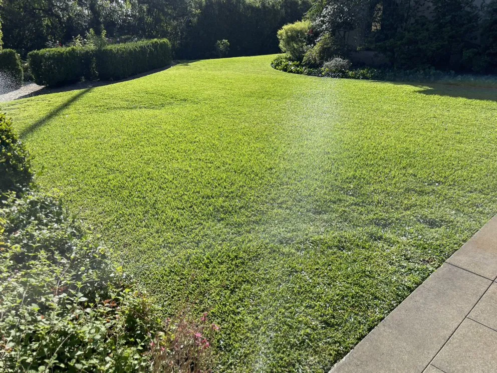 Trusted yard cleanup service for homes across Temple City, CA - Talgarden