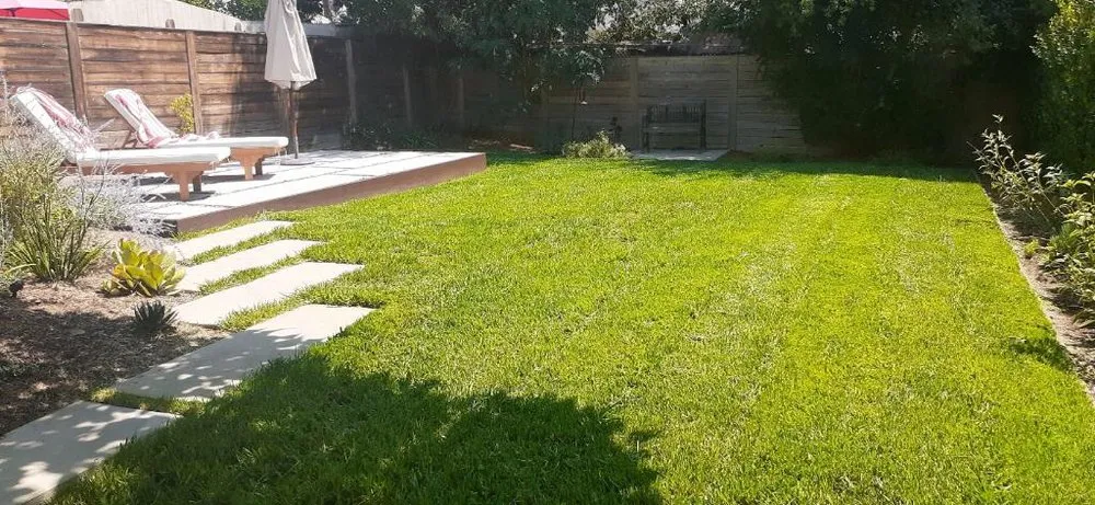 Professional yard maintenance in Temple City, CA - Talgarden