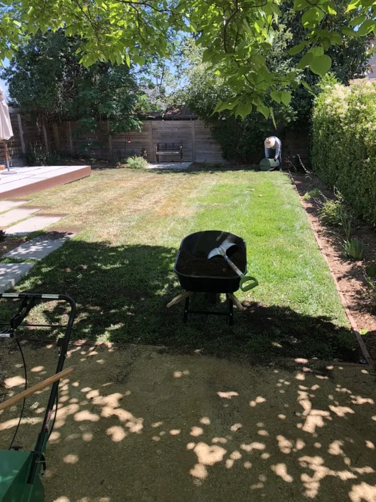Affordable lawn care service in Temple City, CA by Talgarden