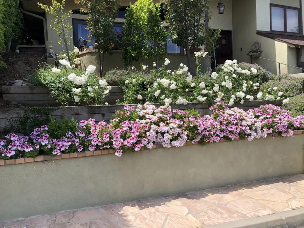 Custom landscaping services in Temple City, CA - Talgarden