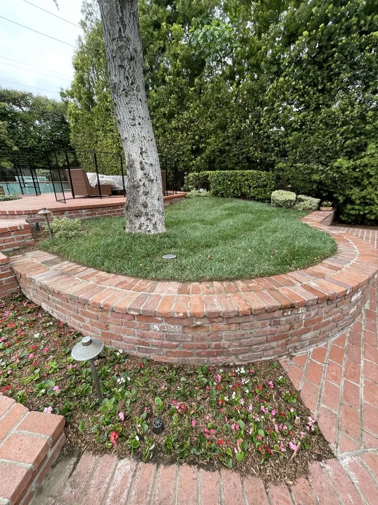 Custom yard maintenance in Temple City, CA - Talgarden