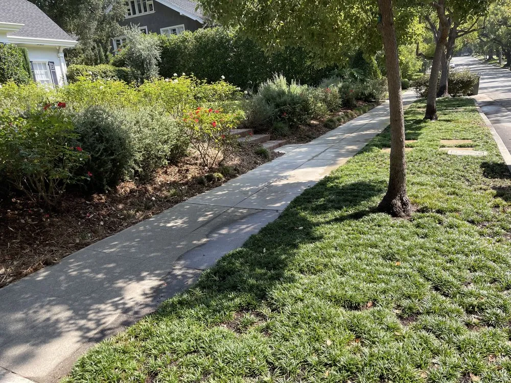 Reliable outdoor landscaping in Temple City, CA - Talgarden