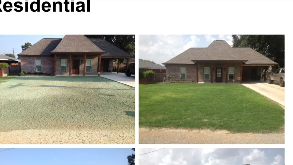 Professional lawn care service in Eunice, LA - Talgreens Hydromulching