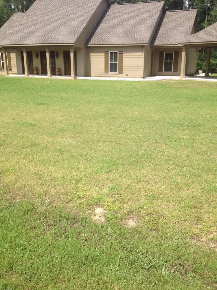 Top-rated landscape design in Eunice, LA by Talgreens Hydromulching