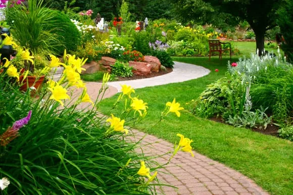 Expert lawn care service for year-round maintenance in Jonesboro, GA by Talkin'DIRT Landscaping, LLC