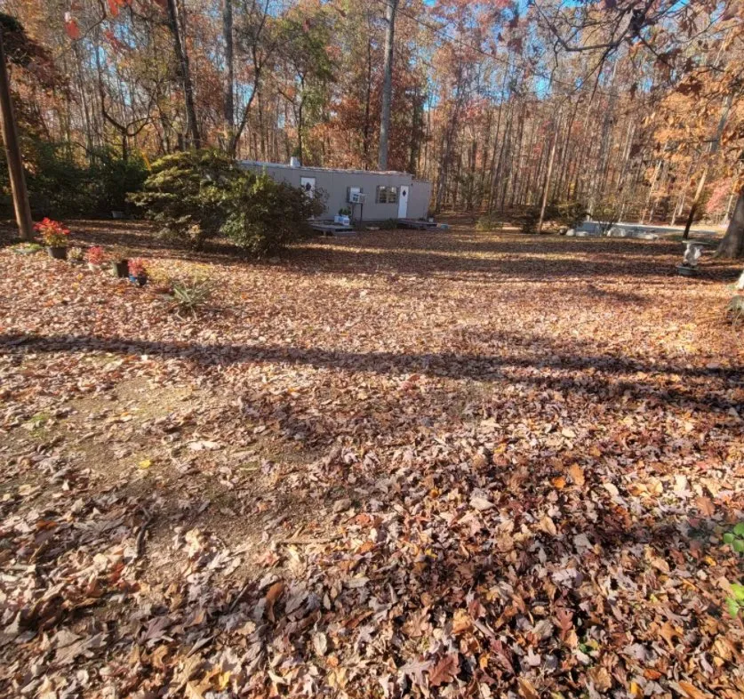 Affordable lawn mowing service in Knoxville, TN by Tall Cut Lawn Care