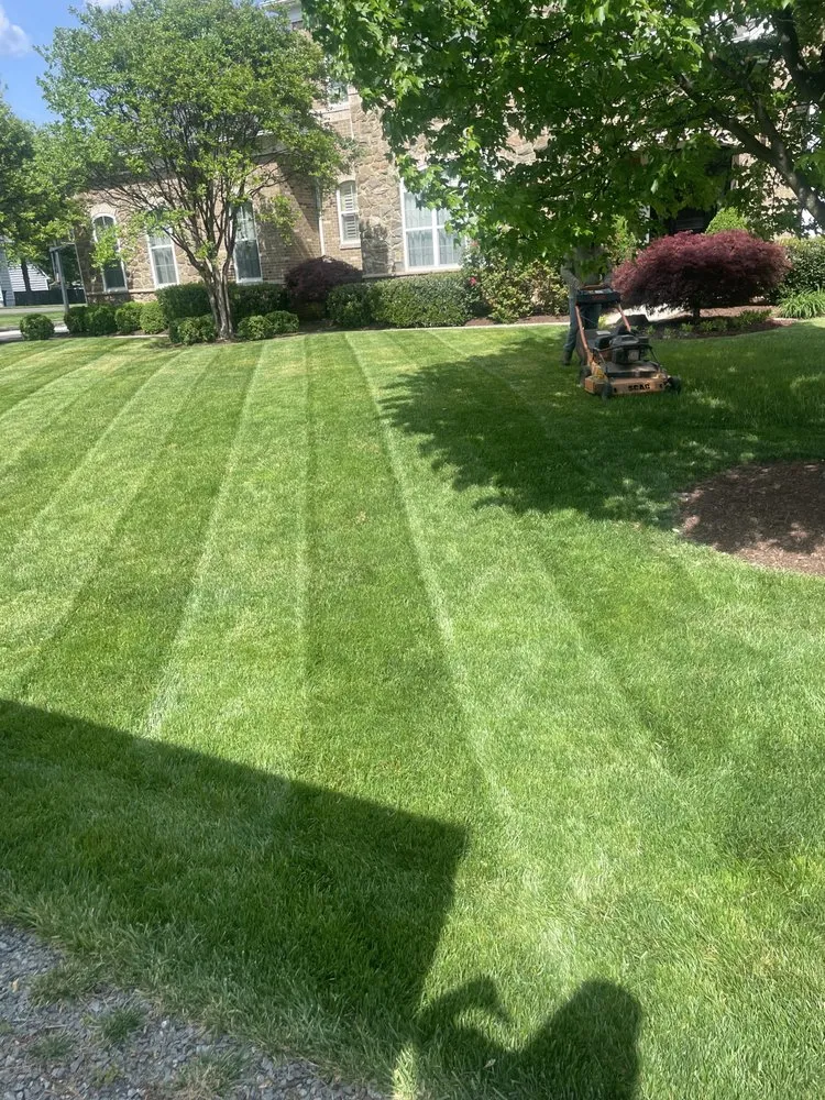 Local landscaping services experts serving Hillcrest Heights, MD - Tall Green