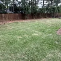 Trusted yard cleanup service in Fort Mitchell, AL by Tall Guy Lawn Services