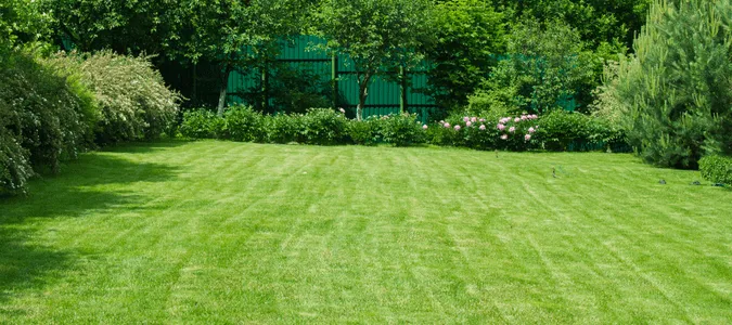 Professional garden landscaping near you in Fort Mitchell, AL by Tall Guy Lawn Services