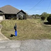 Custom yard cleanup service in Fort Mitchell, AL by Tall Guy Lawn Services