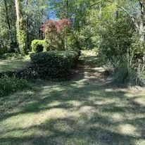 Top-rated outdoor landscaping in Fort Mitchell, AL - Tall Guy Lawn Services