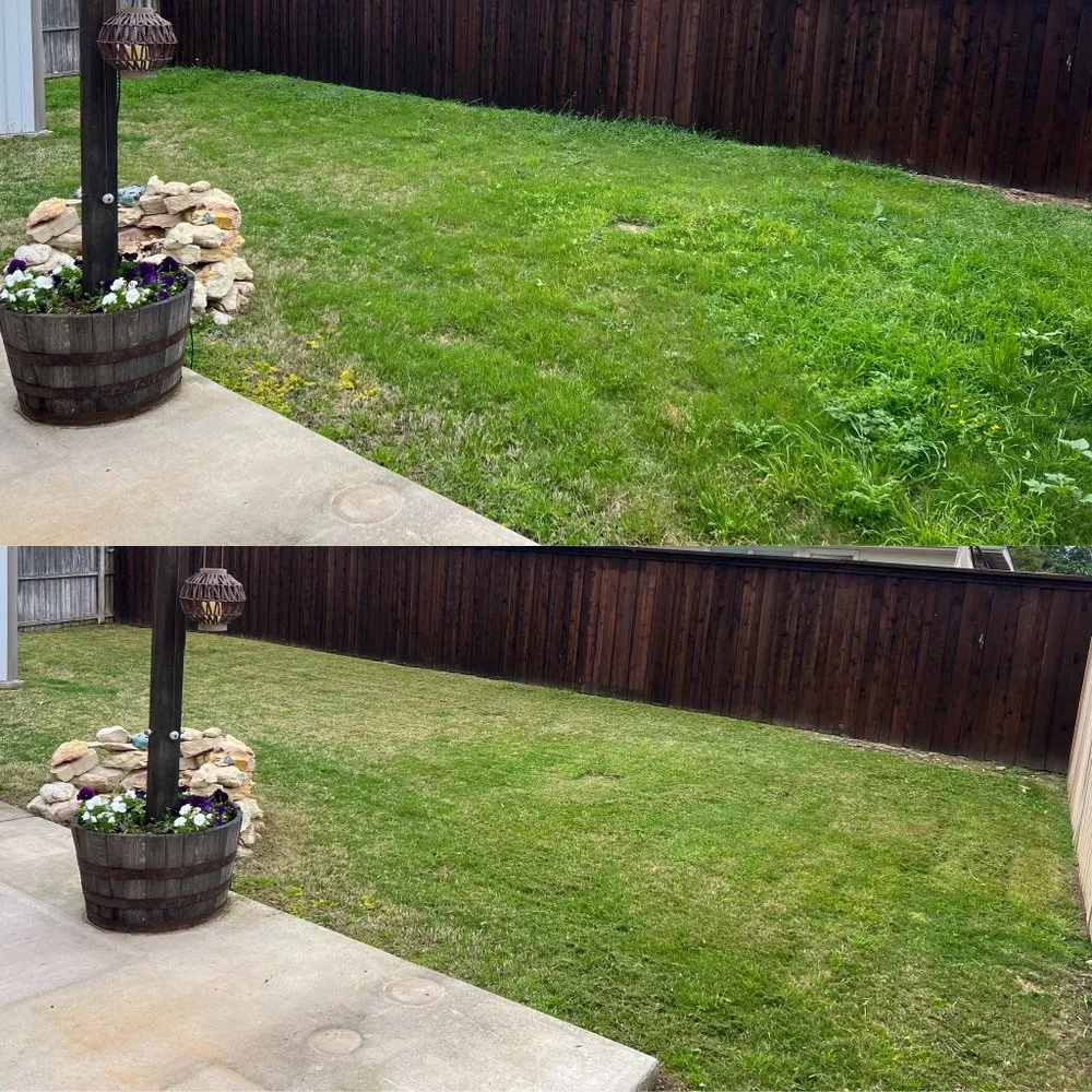 Top-rated landscape installation in Fort Worth, TX - Tall Guy Short Grass Lawn Care