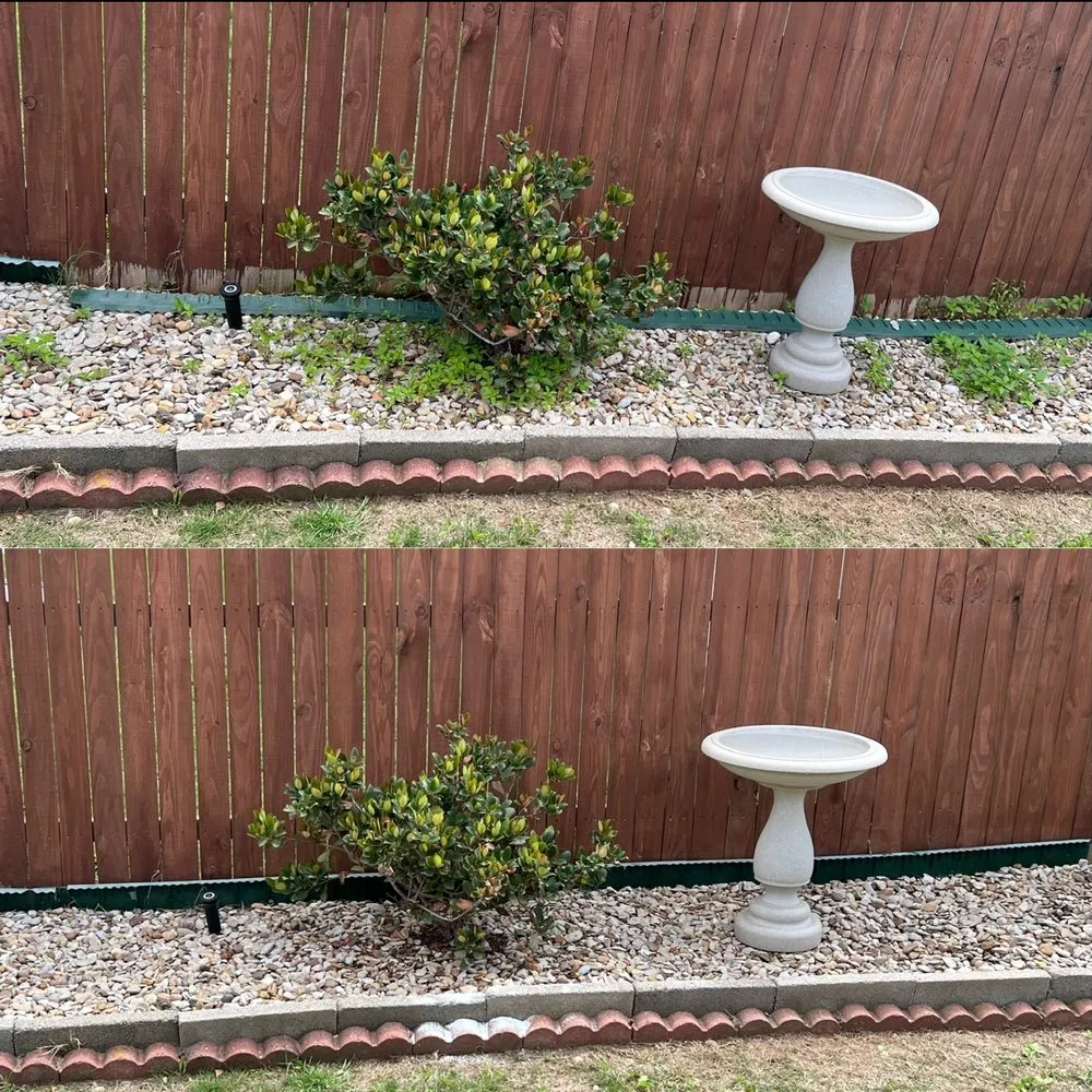 Affordable landscape design near you in Fort Worth, TX by Tall Guy Short Grass Lawn Care