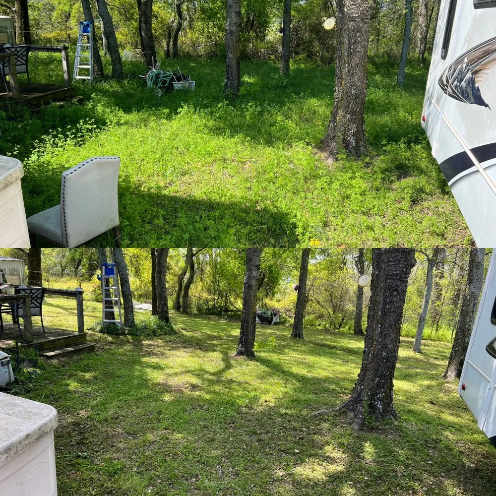 Affordable outdoor landscaping for homes across Fort Worth, TX - Tall Guy Short Grass Lawn Care