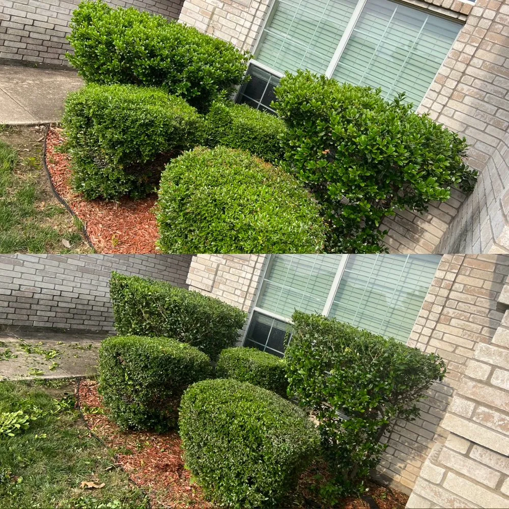 Custom outdoor landscaping for homes in Fort Worth, TX by Tall Guy Short Grass Lawn Care