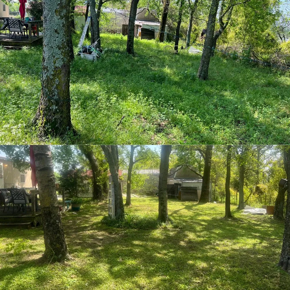 Reliable yard cleanup service for beautiful yards across Fort Worth, TX - Tall Guy Short Grass Lawn Care