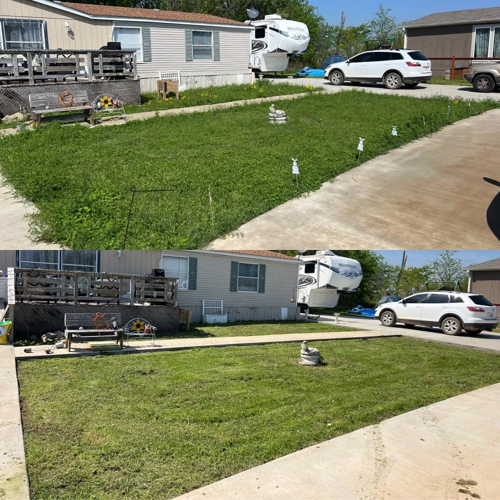 Reliable yard maintenance in Fort Worth, TX by Tall Guy Short Grass Lawn Care