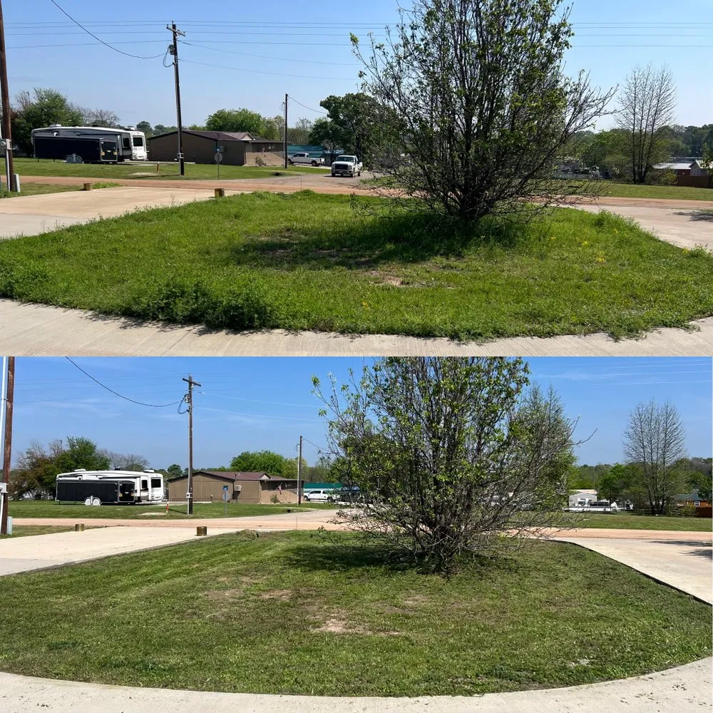 Custom landscape design for year-round maintenance across Fort Worth, TX - Tall Guy Short Grass Lawn Care