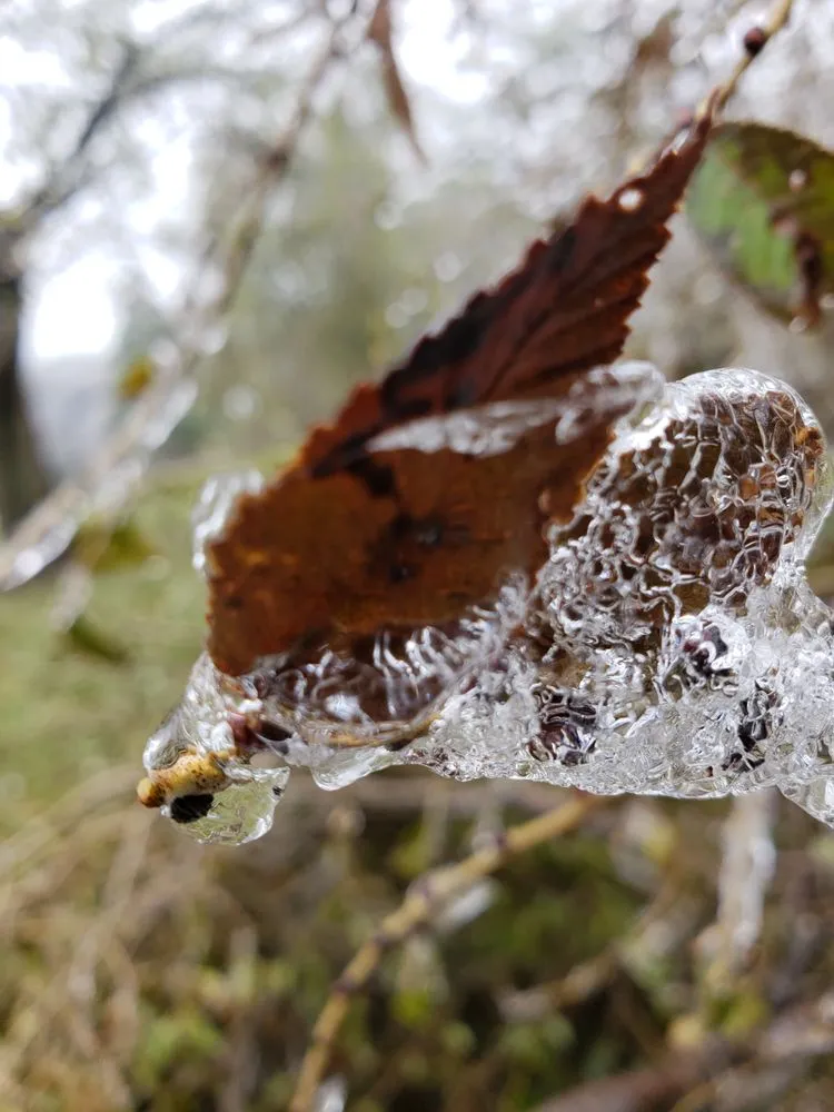 Top-rated outdoor landscaping in Hamilton, OH by Tall Oaks Lawn & Landscaping