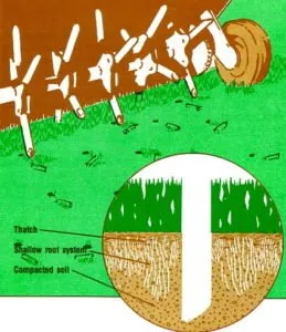 Professional yard cleanup service in Hamilton, OH by Tall Oaks Lawn & Landscaping