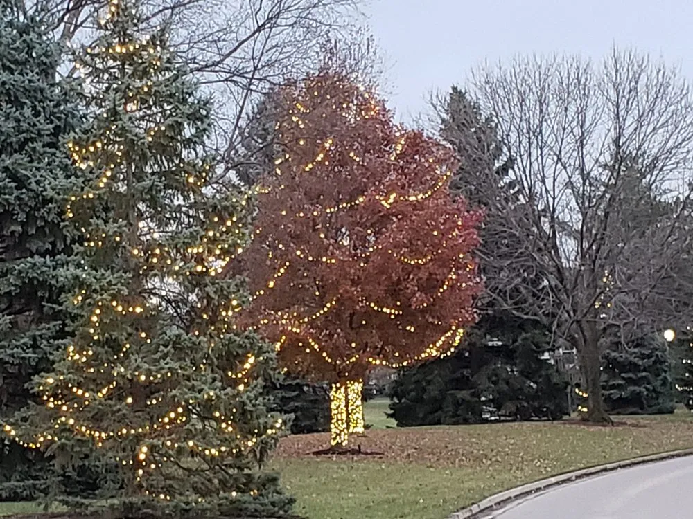 Expert yard cleanup service in Hamilton, OH by Tall Oaks Lawn & Landscaping