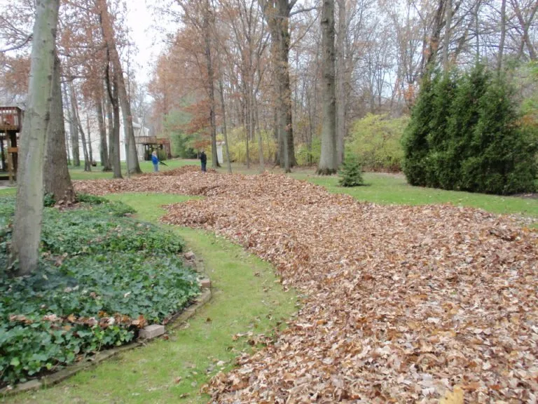 Local lawn mowing service experts serving Hamilton, OH - Tall Oaks Lawn & Landscaping