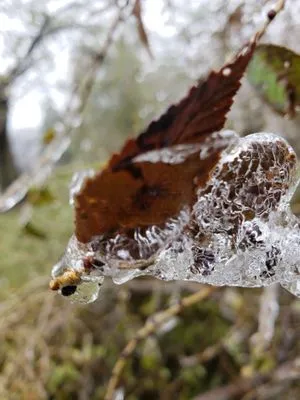 Tall Oaks Lawn & Landscaping