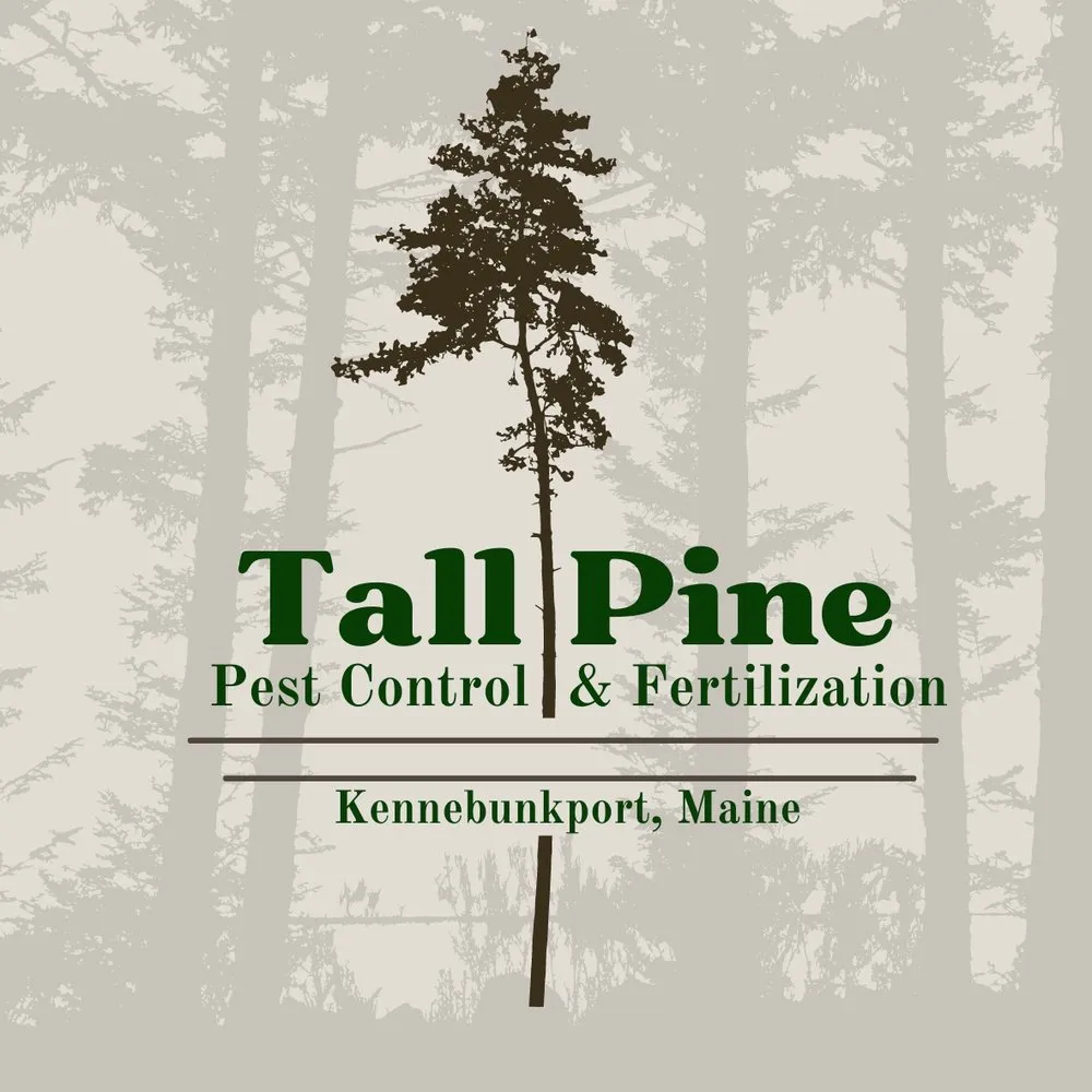 Top-rated outdoor landscaping near you in Kennebunk, ME by Tall Pine Pest Control & Fertilization